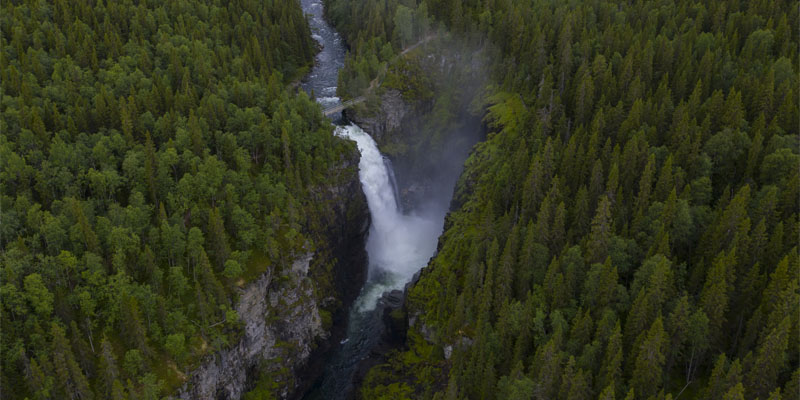 En älv med ett vattenfall i en skog.