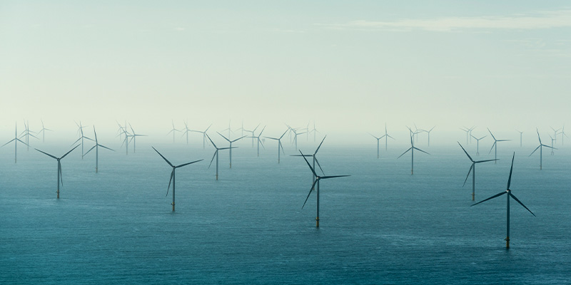 Många vindkraftverk i havet.